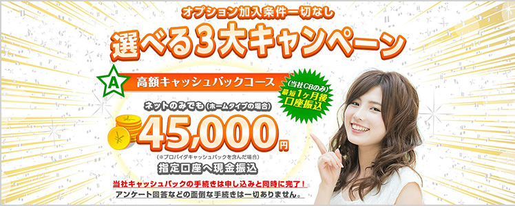 auひかり代理店S&Nパートナー