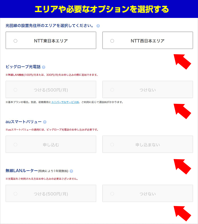 エリアや必要なオプションにチェックする