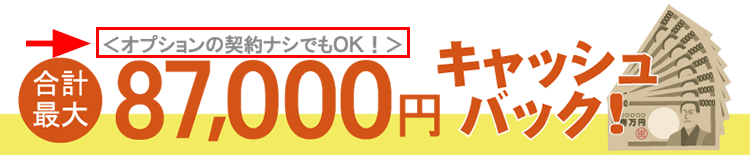 オプション契約なしで87,000円